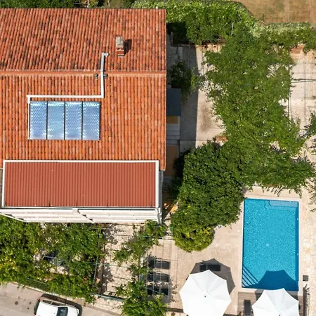 Petrinic - S By Guide *