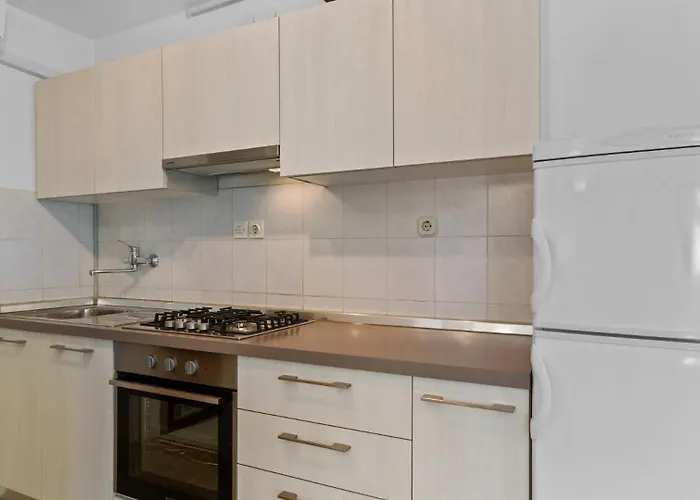 Petrinic - S By Guide