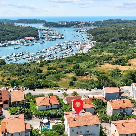 Petrinic - S By Guide