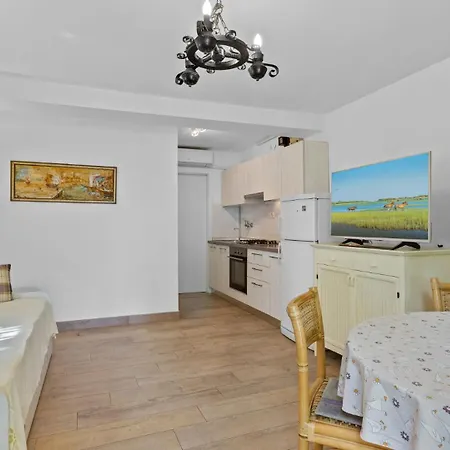 Petrinic - S By Guide *