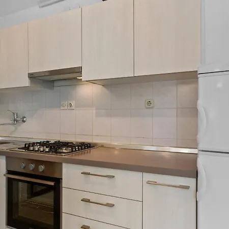 Petrinic - S By Guide