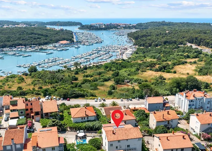 Petrinic - S By Guide