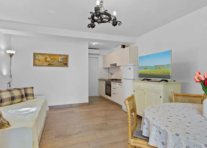 Petrinic - S By Guide *