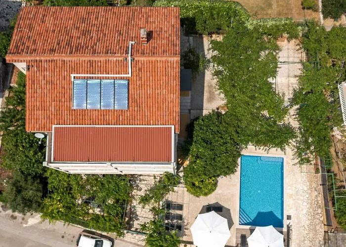 Petrinic - S By Guide *